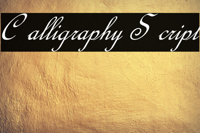 Calligraphy Script Example 2