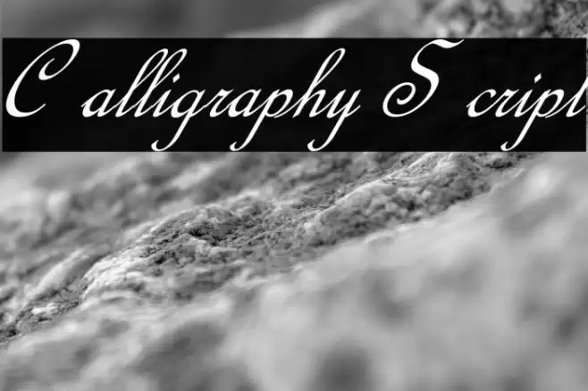 Calligraphy Script Font examples