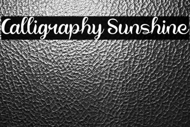 Calligraphy Sunshine Font examples