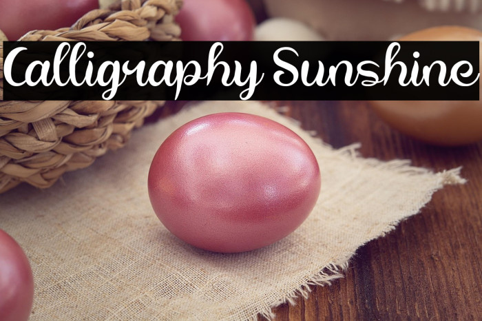 Calligraphy Sunshine Example 2