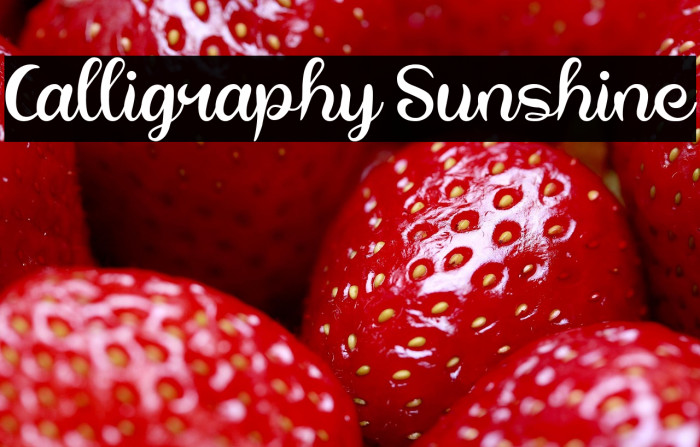 Calligraphy Sunshine Example 3