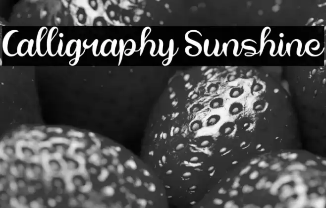 Calligraphy Sunshine Font examples