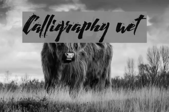 Calligraphy wet Font examples