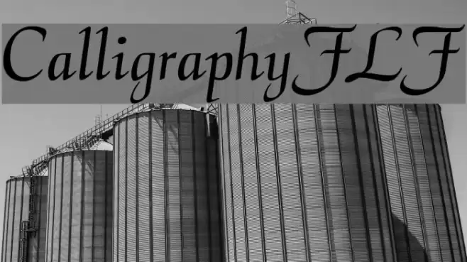CalligraphyFLF Caratteri examples