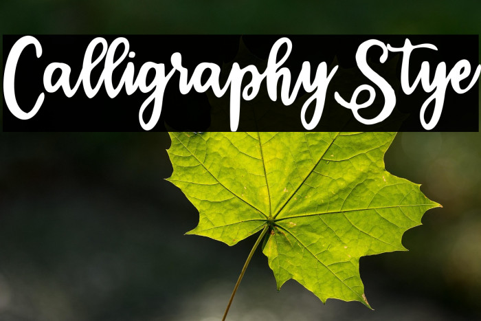 CalligraphyStye Example 1