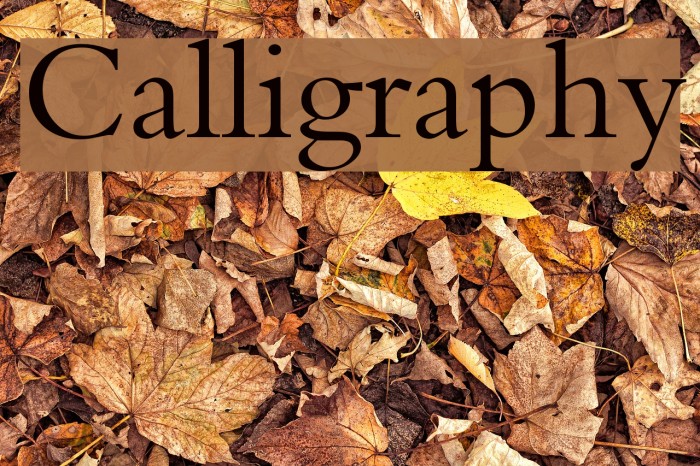Calligraphy Font examples