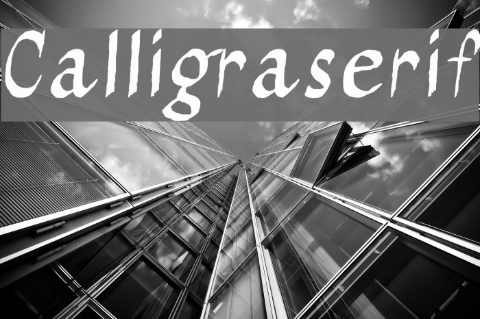 Calligraserif Font examples