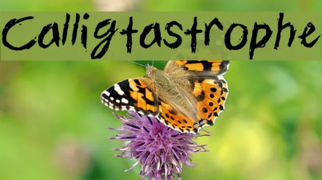 Calligtastrophe Example 2