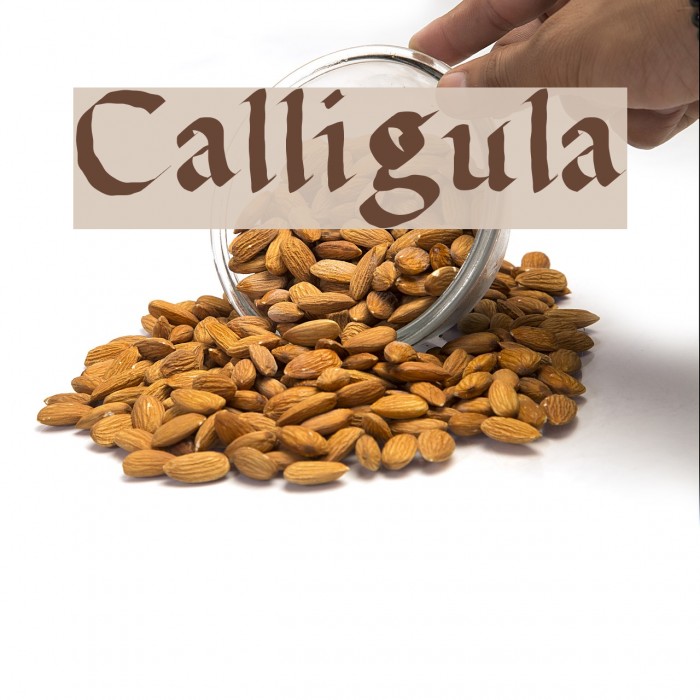 Calligula Font examples