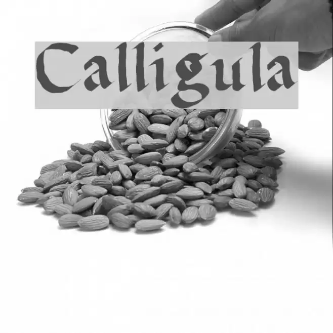 Calligula Fonte examples