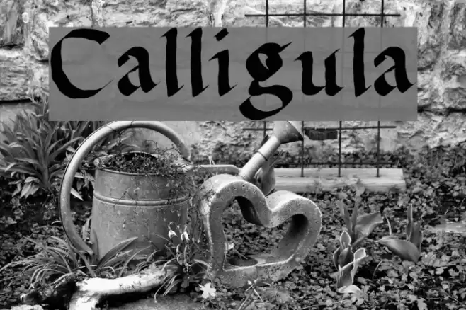 Calligula Fonte examples