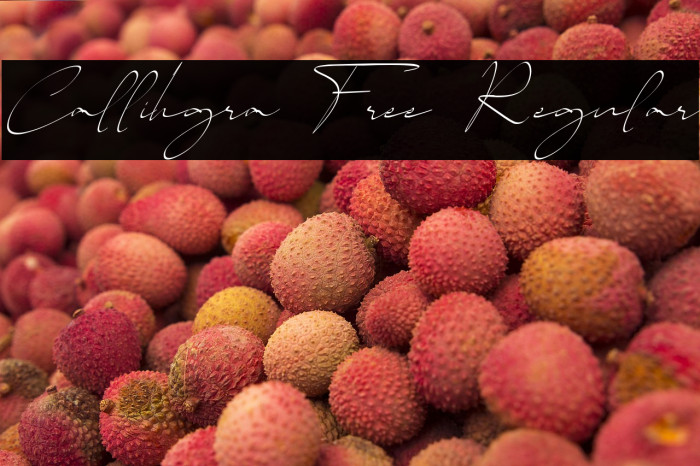 Callihgra Free Regular Example 1