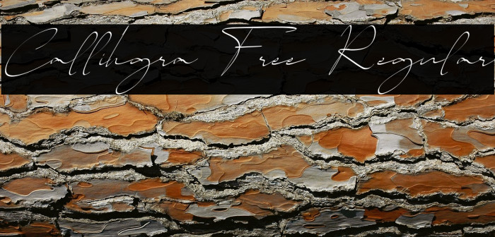 Callihgra Free Regular Example 3