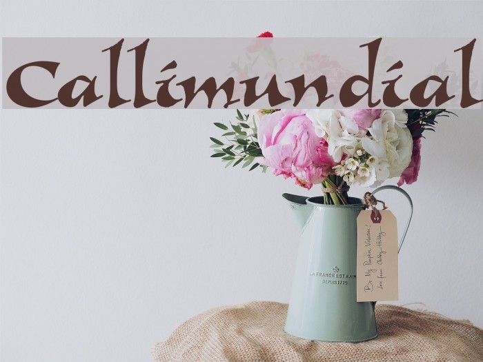 Callimundial Font examples