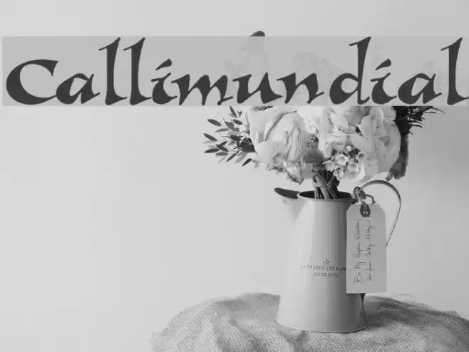 Callimundial Font examples
