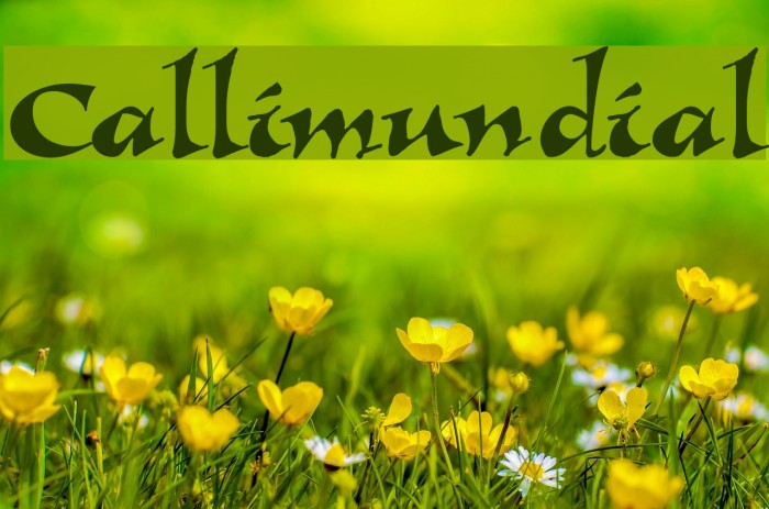 Callimundial Font examples