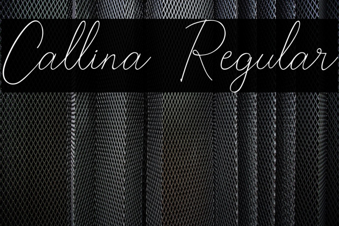 Callina  Regular Example 1