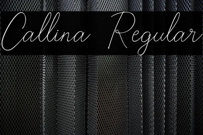 Callina  Regular Example 1