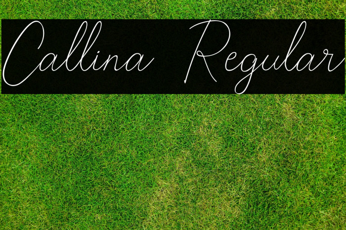 Callina  Regular Example 2