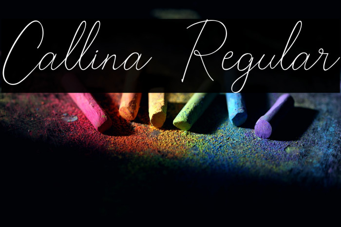 Callina  Regular Example 3