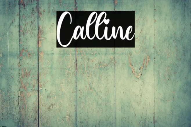 Calline Example 2