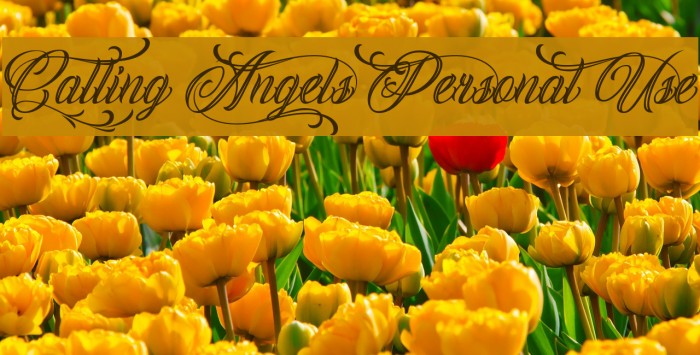 Calling Angels Personal Use Font examples