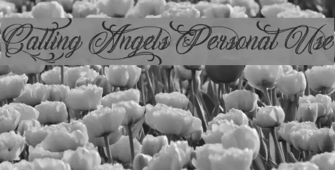 Calling Angels Personal Use examples