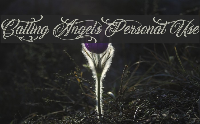 Calling Angels Personal Use Font examples