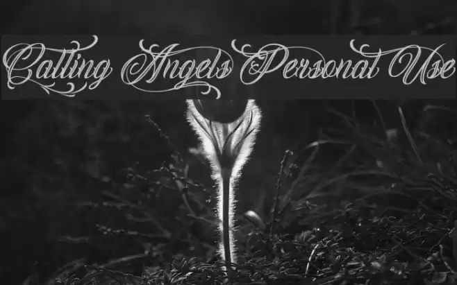 Calling Angels Personal Use examples