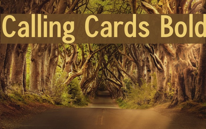 Calling Cards Bold Font examples