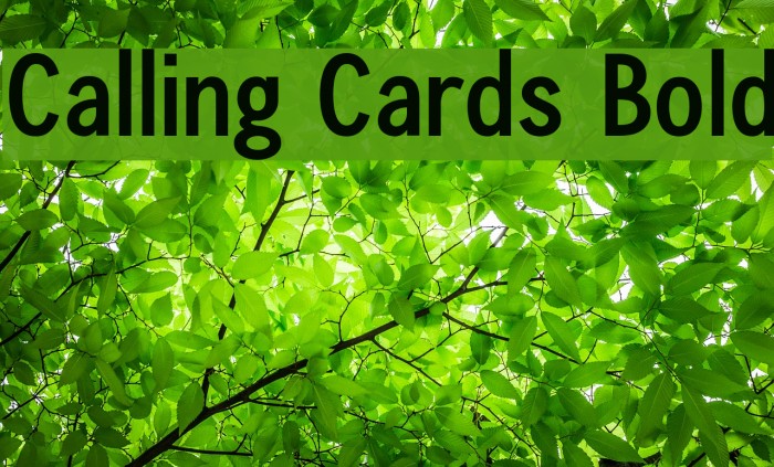 Calling Cards Bold Font examples