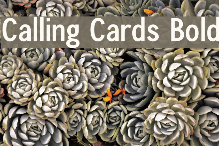 Calling Cards Bold Font examples