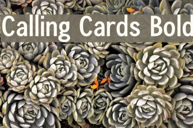 Calling Cards Bold Example 3