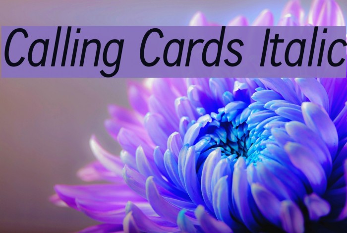 Calling Cards Italic Font examples