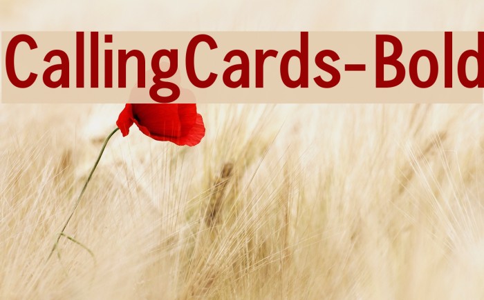 CallingCards-Bold Font examples