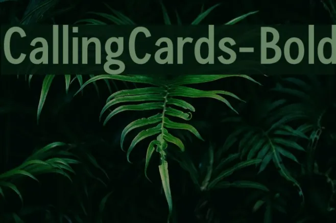 CallingCards-Bold Example 3