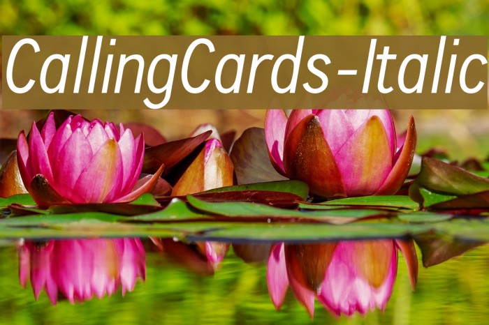 CallingCards-Italic Font examples
