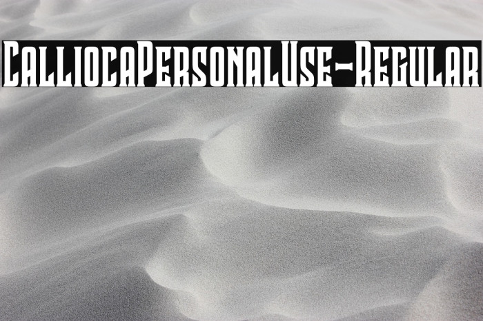CalliocaPersonalUse-Regular Example 1