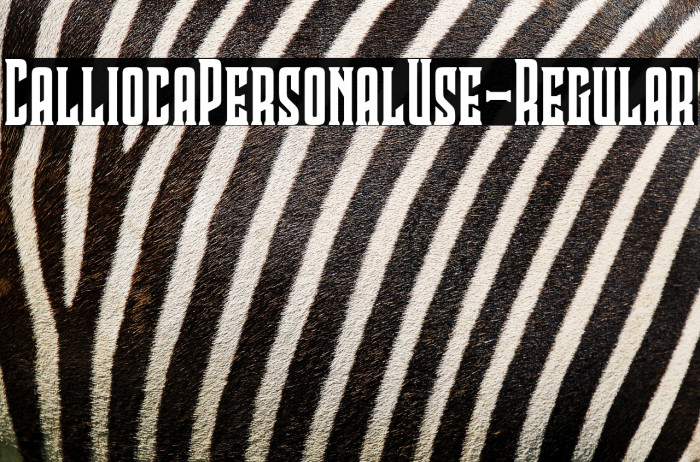 CalliocaPersonalUse-Regular Example 2