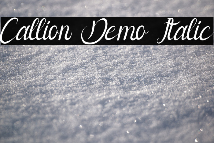 Callion Demo Italic Example 2