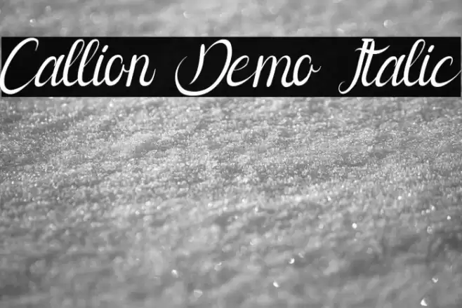 Callion Demo Italic Polices examples