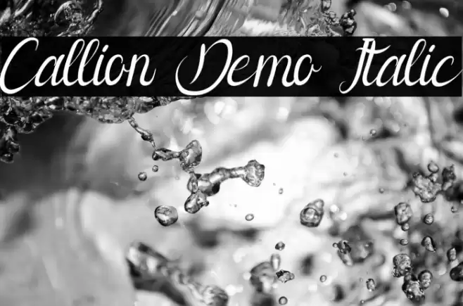 Callion Demo Italic Polices examples