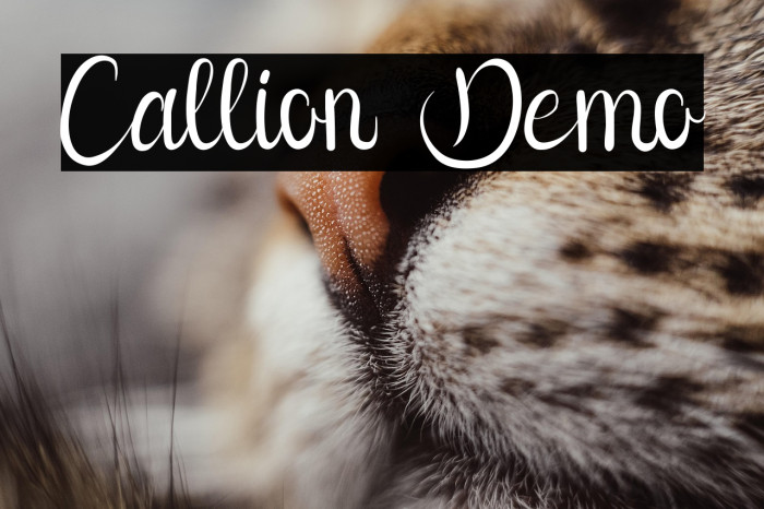 Callion Demo Example 1