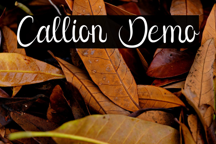 Callion Demo Example 2