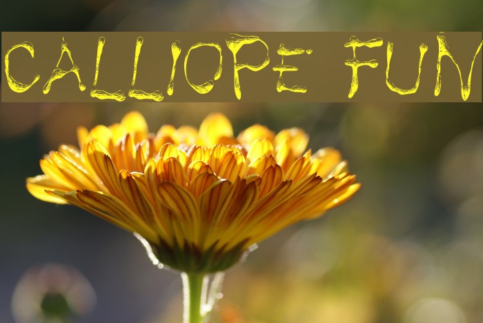 Calliope fun Font examples