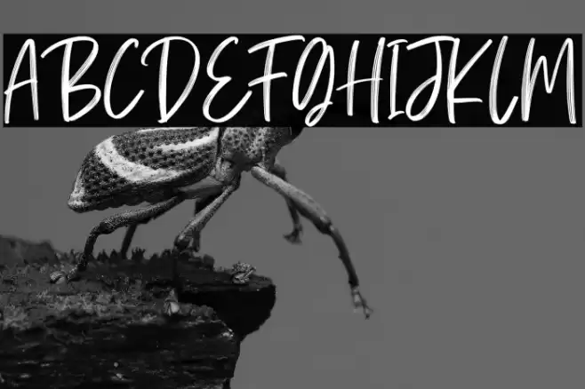 Calliretta Personal Use Font examples