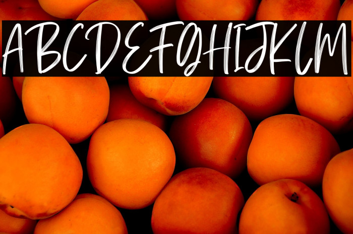 Calliretta Personal Use Example 3