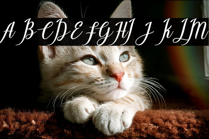 CallisaScript Example 1