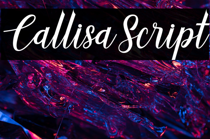 CallisaScript Example 1