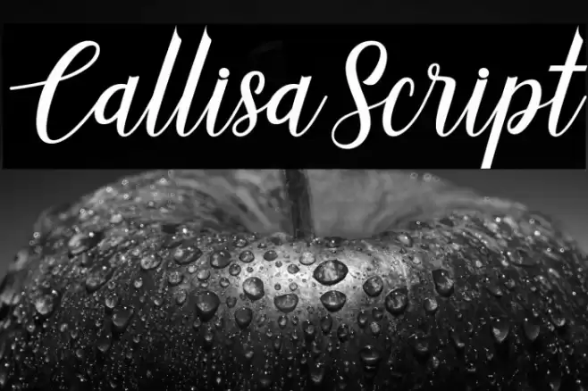 CallisaScript Font examples